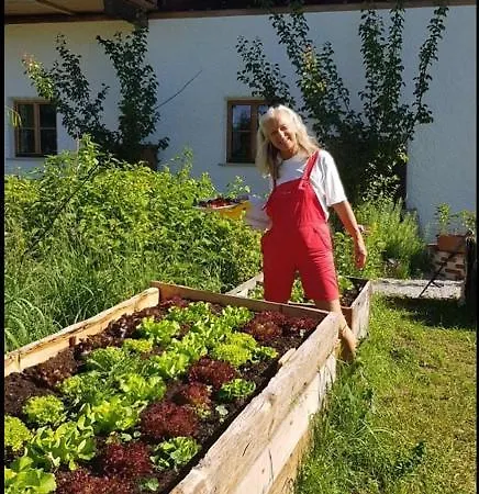 Kulturgut Annahof Daire Franking